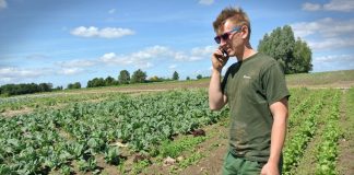 Økologisk jordbruk kan brødfø Europa, mener forskere