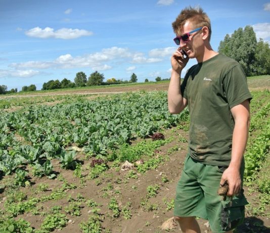 Økologisk jordbruk kan brødfø Europa, mener forskere