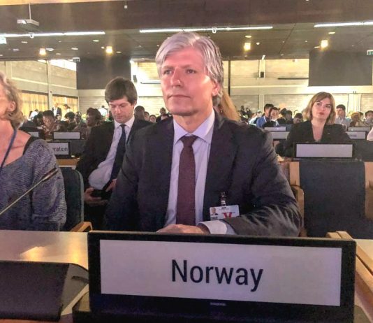 Ola Elvestuen valgt til president for FNs miljøforsamling