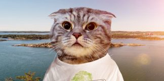 Miljøagentene og Finn.no samarbeider om Oppdrag Havplast