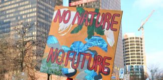 Verden ødelegges, dette kan du gjøre for å stoppe det