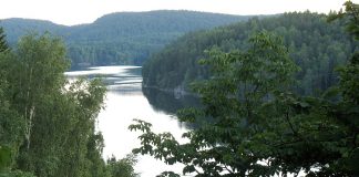 Deler av Østmarka i Oslo kan bli ny nasjonalpark