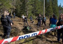 – Hubro ofres i naturødeleggende vindkraftutbygging