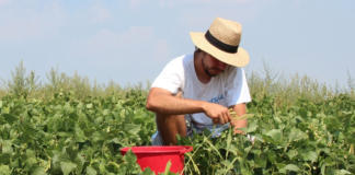 Nå er det tid for å putte frø i jorda! Her er noen ting du bør huske på