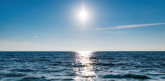 Norden jobber sammen for global avtale mot forsøpling av verdenshavene