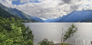 Mer miljøgifter i de norske fjordene enn i havet