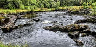 Forskere har funnet ny, tidligere ukjent kilde til CO2-utslipp