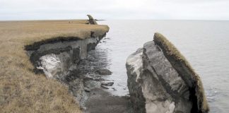 Tipping point-advarsel fra forskere: Permafrosttining er 70 år “på forskudd”