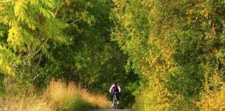 Bruker Verdens sykkeldag til å åpne Grønne sykkelruter