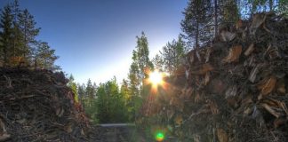 Finland skal bli CO2-nøytralt i 2035, med en av de raskeste klimakuttplanene som finnes