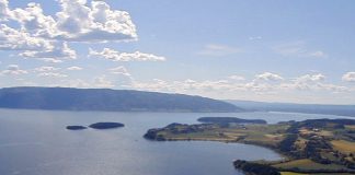 Forurensingen i Tyrifjorden: “Foruroligende”, sier Miljødirektoratet