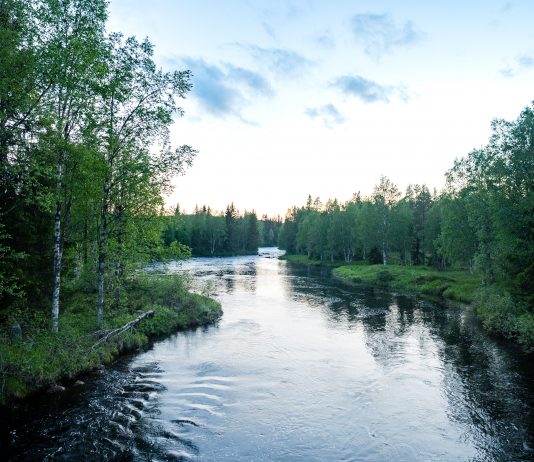 12 millioner går til lokale tiltak for å bedre vannmiljø