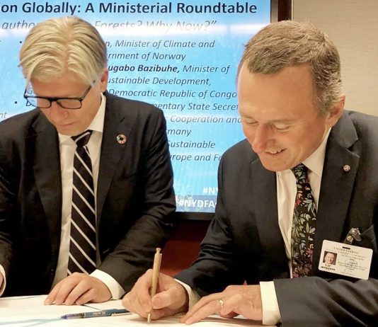 Avtale med Norge: Gabon skal ta vare på 98 % av regnskogen sin