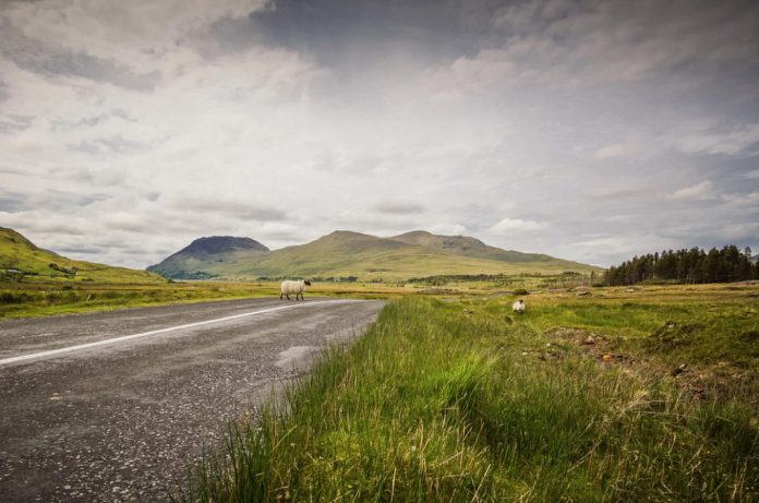 irland_060919
