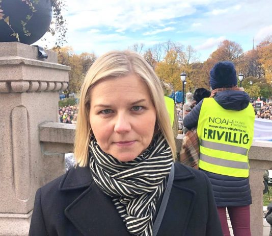 Guri Melby (V) frykter for rovdyras framtid om Senterpartiet kommer til makta