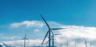 Organisasjoner med krav til regjeringen: Prioritér natur og frilutsliv i vindkraftsaker