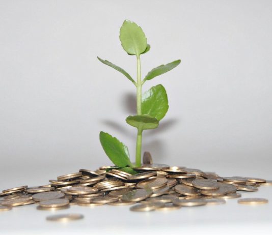 Sabima vil ha 1,5 milliarder til et krafttak for naturen i 2021-budsjettet