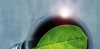 Regjeringen løyver 300 millioner til klima- og miljøforskning i 2020