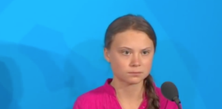 317 kandidater: Både Greta Thunberg og Nato er nominert til Nobels fredspris 2020