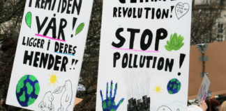 Unges klima- og miljøengasjement gir skolen nye muligheter