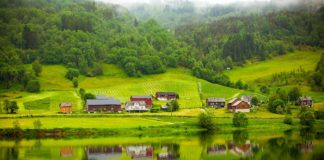 – Vi sitter alle på den samme greina