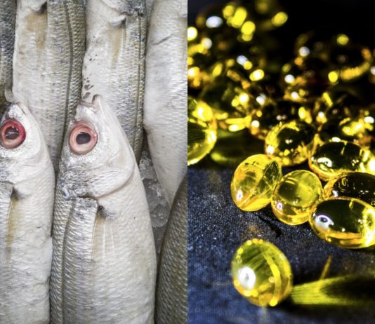 Befolkningsøkning + Mindre fisk i havet = Omega 3-mangel