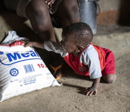 Økonomisk krise og klimakrise i Zimbabwe: Barn spiser bare ett måltid om dagen