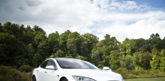 (OPPDATERT) Tesla hogger skog i Tyskland for å bygge bilfabrikk (men det er plantasjeskog)