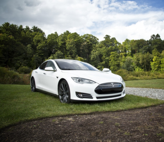 (OPPDATERT) Tesla hogger skog i Tyskland for å bygge bilfabrikk (men det er plantasjeskog)
