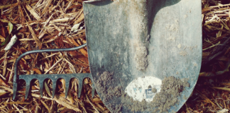 Grønt Spatak kan bety mer enn noen gang: NU ber medlemmene bidra for landbruket