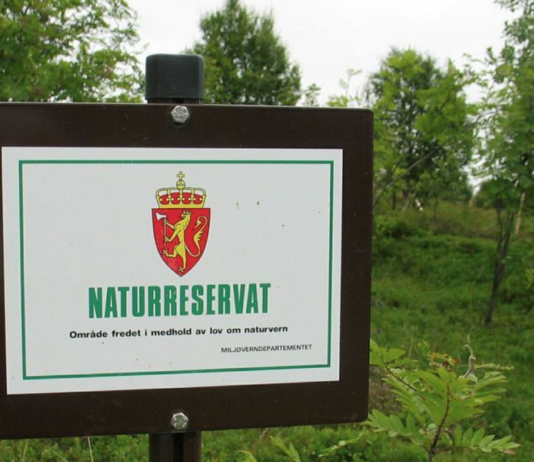 18 skogområder i Nordland skal utredes for vern