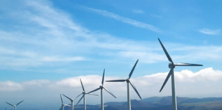 Kan Riksadvokaten leve med ulovlige vindkraftkonsesjoner?