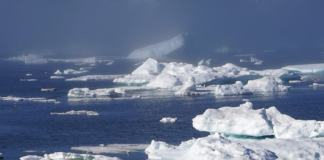 Norges Fiskarlag og WWF med felles utspill: Vil ha bred iskantsone og ingen ny oljeboring