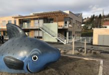 Boom for svanemerkede bygg i Norden – har doblet seg på bare to år