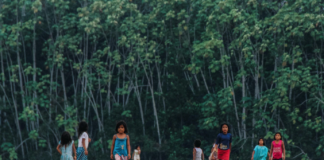 Brasil bøyer av for press – utsetter behandling av lov som ville åpnet for avskoging og landran