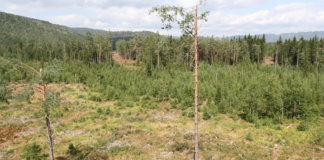 Slår alarm: Frykter kjølevannet fra datasenteret til Google i Skien skal påvirke drikkevannet fra Norsjø