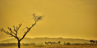 Risiko for at over 3 milliarder mennesker bor i ulevelig hete om noen tiår, viser ny klimarapport