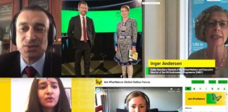 Sivilsamfunn fra hele verden samlet seg online for å kreve et bærekraftig samfunn etter koronapandemien