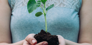 Netflix, Facebook og Hugo Boss (og mange fler) bes om å rapportere sine miljødata