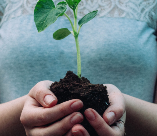 Netflix, Facebook og Hugo Boss (og mange fler) bes om å rapportere sine miljødata