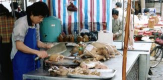 Kina forbyr salg av hundekjøtt og holding av hunder for kjøttproduksjon