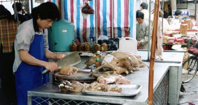 hundekjøtt_kina_020620