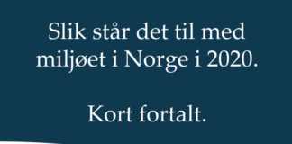 Dette er det nye nettstedet Miljøstatus.no