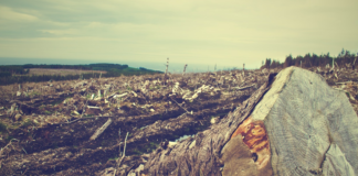 Denne avtalen skal redde verden