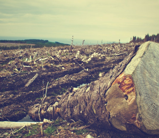 Denne avtalen skal redde verden