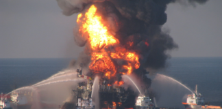 Skal finne ut hva som skjer med oljesøl i havet