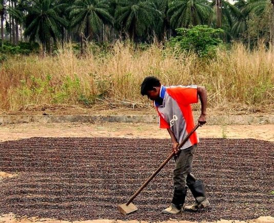 IFAD-prosjekt i Angola: Matsikkerhet og bærekraft i landbruket i møte med klimaendringer