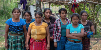 Siden Parisavtalen kom i 2015 har fire miljøforkjempere blitt drept hver uke