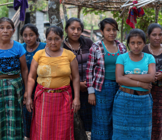 Siden Parisavtalen kom i 2015 har fire miljøforkjempere blitt drept hver uke