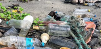 Tok en “Covid-19 spesial” for å hindre stans i arbeidet mot plastforurensing